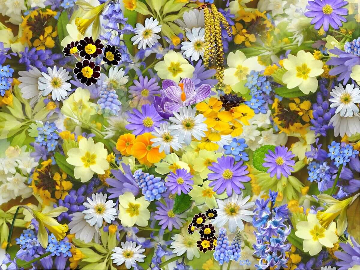 spring-flowers-110671_1280
